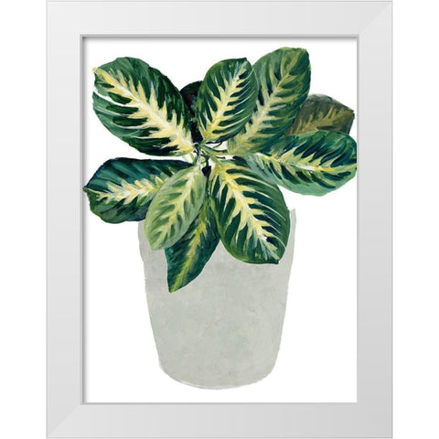 Prayer Plant II White Modern Wood Framed Art Print by Loreth, Lanie