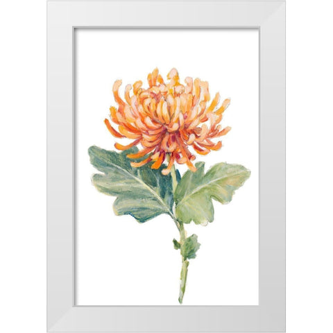 Orange Spider Mum White Modern Wood Framed Art Print by Loreth, Lanie
