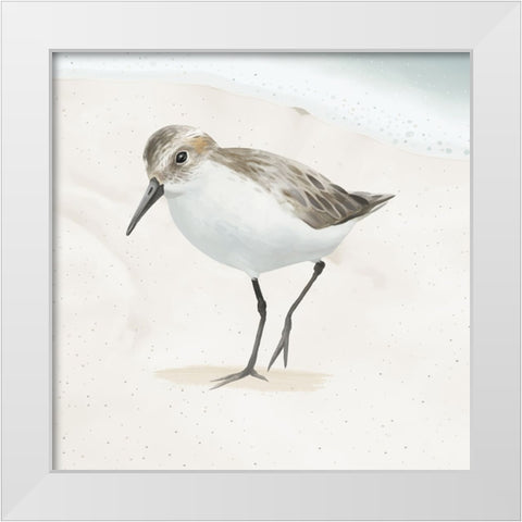 Sandpiper on the Beach II White Modern Wood Framed Art Print by Sheppard, Lucca