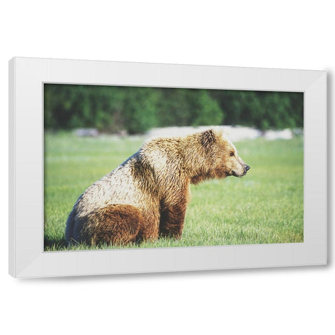 Gazing Bear White Modern Wood Framed Art Print by Walker, Carol