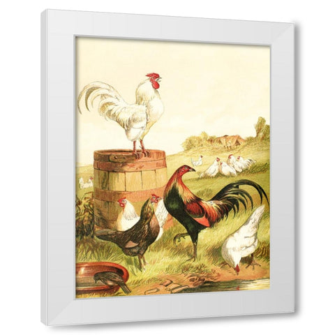 Happy Chickens White Modern Wood Framed Art Print by Piddix