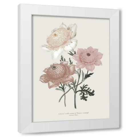 Anemone Coronaria I White Modern Wood Framed Art Print by Piddix