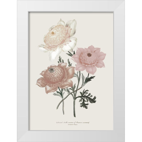 Anemone Coronaria I White Modern Wood Framed Art Print by Piddix