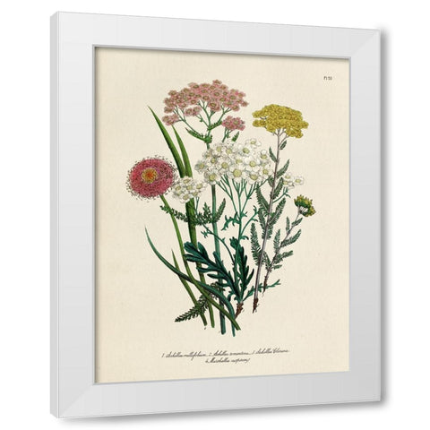 Vintage Flowers II White Modern Wood Framed Art Print by Piddix
