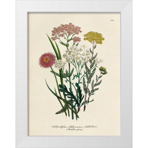 Vintage Flowers II White Modern Wood Framed Art Print by Piddix