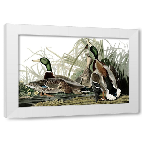 Duck Days White Modern Wood Framed Art Print by Piddix