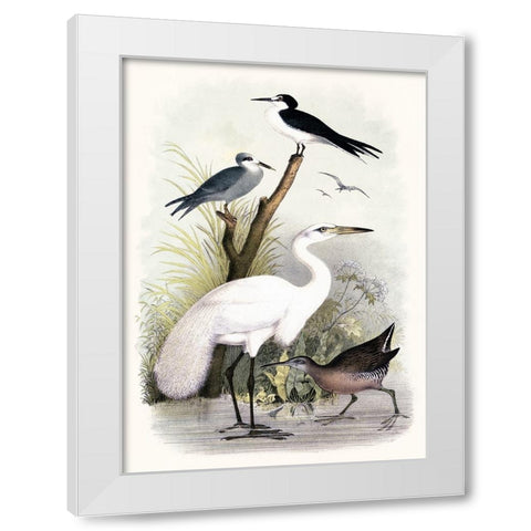 Little Egret and Friends White Modern Wood Framed Art Print by Piddix