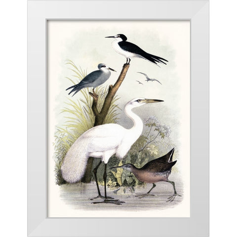 Little Egret and Friends White Modern Wood Framed Art Print by Piddix