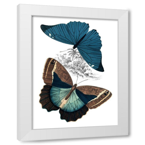 Butterfly Study II White Modern Wood Framed Art Print by Piddix
