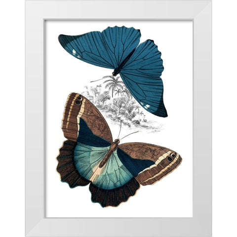 Butterfly Study II White Modern Wood Framed Art Print by Piddix