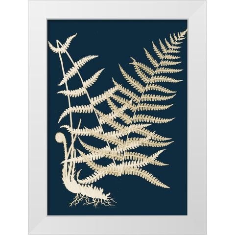 Ferns II White Modern Wood Framed Art Print by Piddix