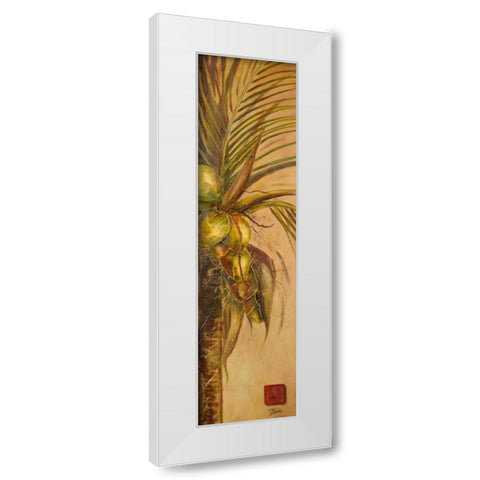 Mis Cocos II White Modern Wood Framed Art Print by Pinto, Patricia