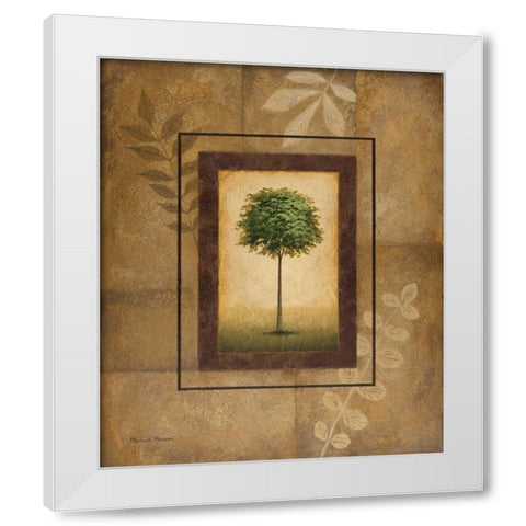 Brazil Nut Tree White Modern Wood Framed Art Print by Marcon, Michael