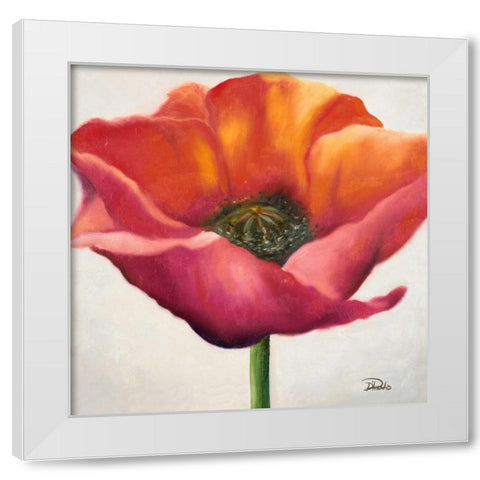 Poppy Flower I White Modern Wood Framed Art Print by Pinto, Patricia