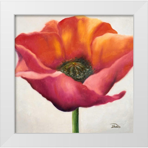 Poppy Flower I White Modern Wood Framed Art Print by Pinto, Patricia