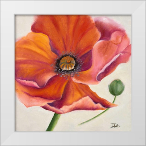 Poppy Flower II White Modern Wood Framed Art Print by Pinto, Patricia