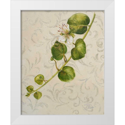 Botanica I White Modern Wood Framed Art Print by Pinto, Patricia