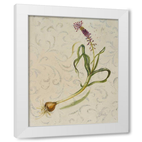 Botanica IV White Modern Wood Framed Art Print by Pinto, Patricia