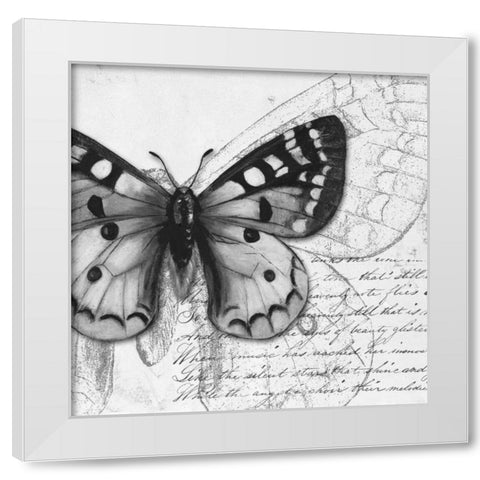 Butterfly Studies I White Modern Wood Framed Art Print by Pinto, Patricia