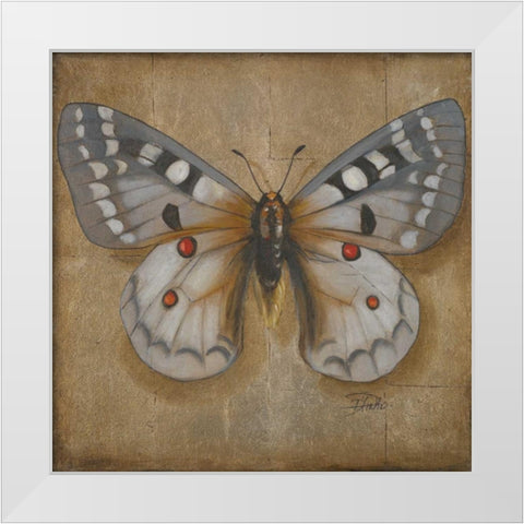 Butterfly II White Modern Wood Framed Art Print by Pinto, Patricia