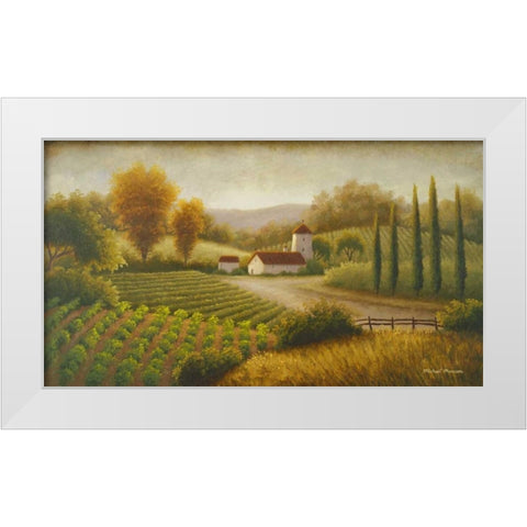 Vineyard In The Sun II White Modern Wood Framed Art Print by Marcon, Michael