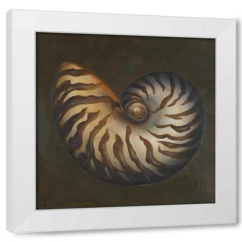 Seashell II White Modern Wood Framed Art Print by Pinto, Patricia