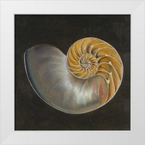 Seashell III White Modern Wood Framed Art Print by Pinto, Patricia