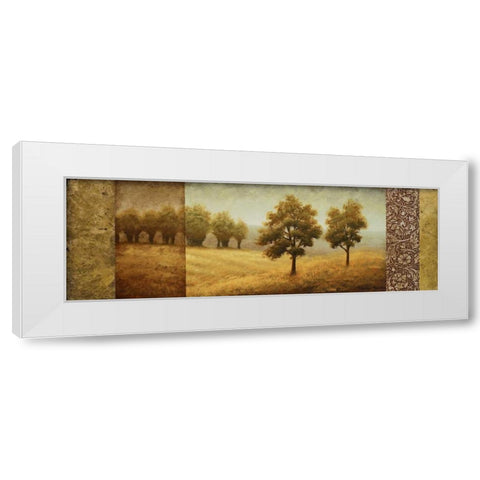 Golden Valley I White Modern Wood Framed Art Print by Marcon, Michael