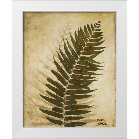 Ferns II White Modern Wood Framed Art Print by Pinto, Patricia