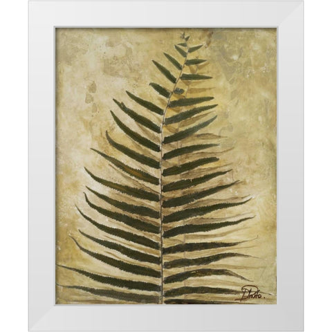 Ferns III White Modern Wood Framed Art Print by Pinto, Patricia