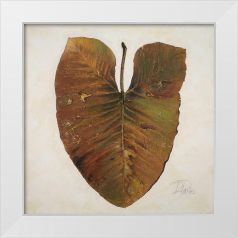 Amazonas II White Modern Wood Framed Art Print by Pinto, Patricia