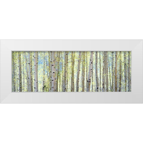 Aspen White Modern Wood Framed Art Print by Lake, Shelley
