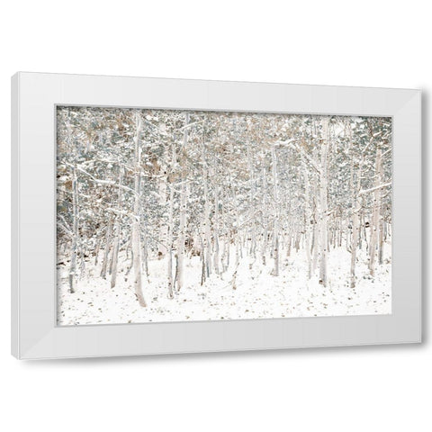 White Snow Wonderland White Modern Wood Framed Art Print by Lake, Shelley