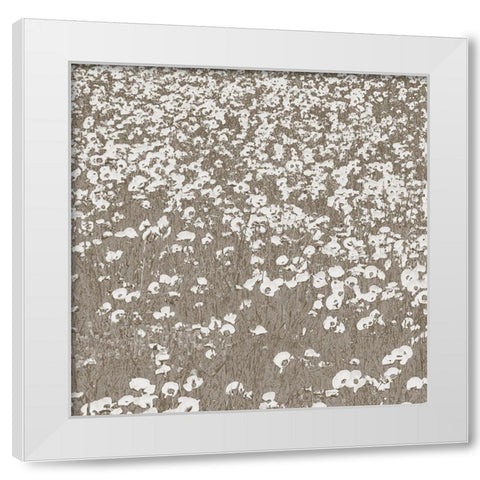 Neutral Fields White Modern Wood Framed Art Print by Lake, Shelley