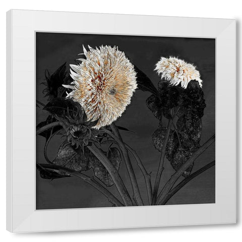 Sunflowers I White Modern Wood Framed Art Print by Lake, Shelley