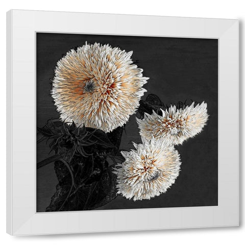 Sunflowers II White Modern Wood Framed Art Print by Lake, Shelley