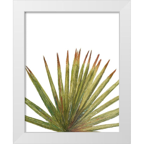 Partial Palm II White Modern Wood Framed Art Print by Pinto, Patricia