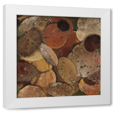 Scattered Leaves I White Modern Wood Framed Art Print by Pinto, Patricia