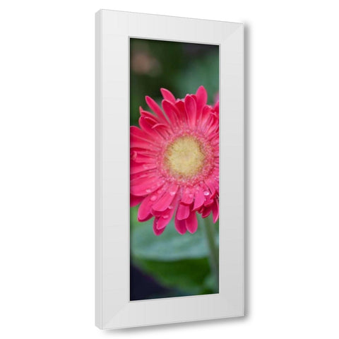 New Vision II White Modern Wood Framed Art Print by Pinto, Patricia