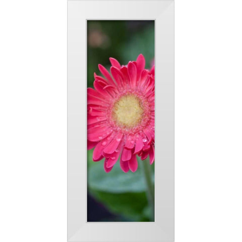 New Vision II White Modern Wood Framed Art Print by Pinto, Patricia