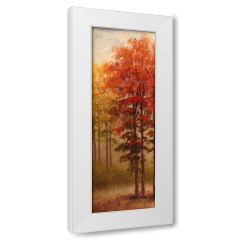 Fall Trees II White Modern Wood Framed Art Print by Marcon, Michael