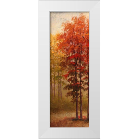 Fall Trees II White Modern Wood Framed Art Print by Marcon, Michael