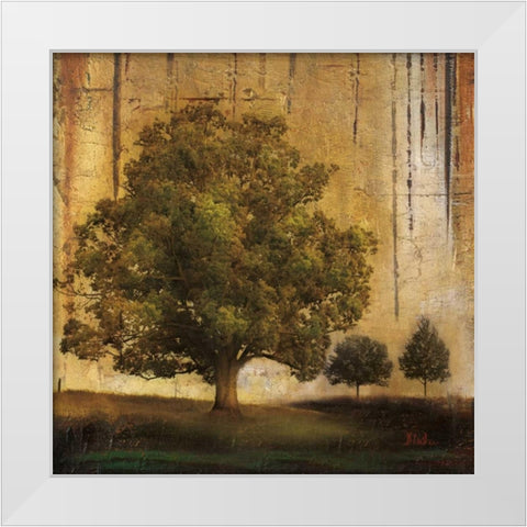 Aged Tree II White Modern Wood Framed Art Print by Pinto, Patricia