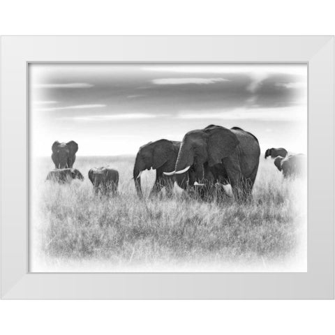 Eles White Modern Wood Framed Art Print by Farnsworth, Sarah