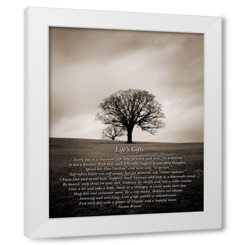 Lifes Gifts White Modern Wood Framed Art Print by Johnson, Ian
