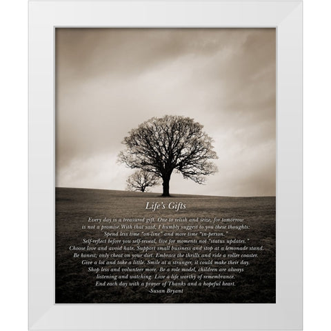 Lifes Gifts White Modern Wood Framed Art Print by Johnson, Ian