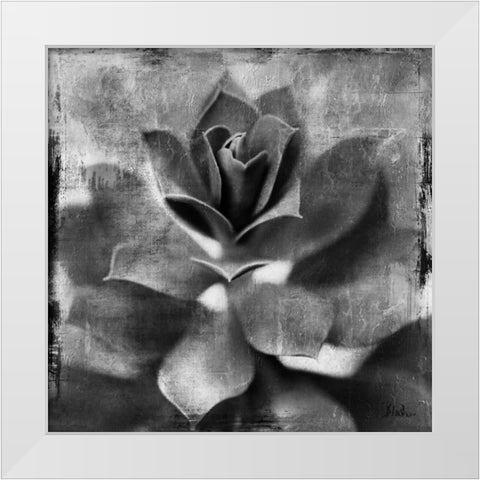 BW Succulent Border I White Modern Wood Framed Art Print by Pinto, Patricia