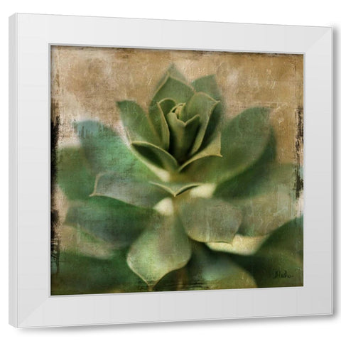 Succulent I White Modern Wood Framed Art Print by Pinto, Patricia