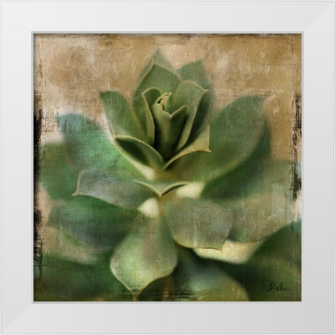 Succulent I White Modern Wood Framed Art Print by Pinto, Patricia