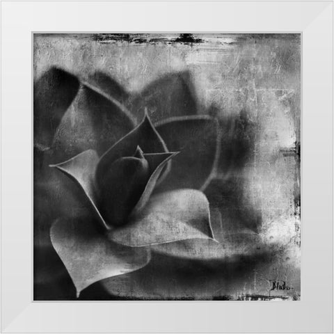 BW Succulent Border II White Modern Wood Framed Art Print by Pinto, Patricia